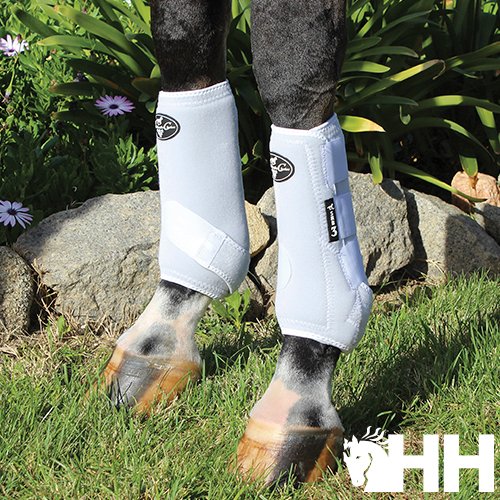 PROTECTOR PROFESSIONAL'S CHOICE SMB3 (PAR) - Imagen 3