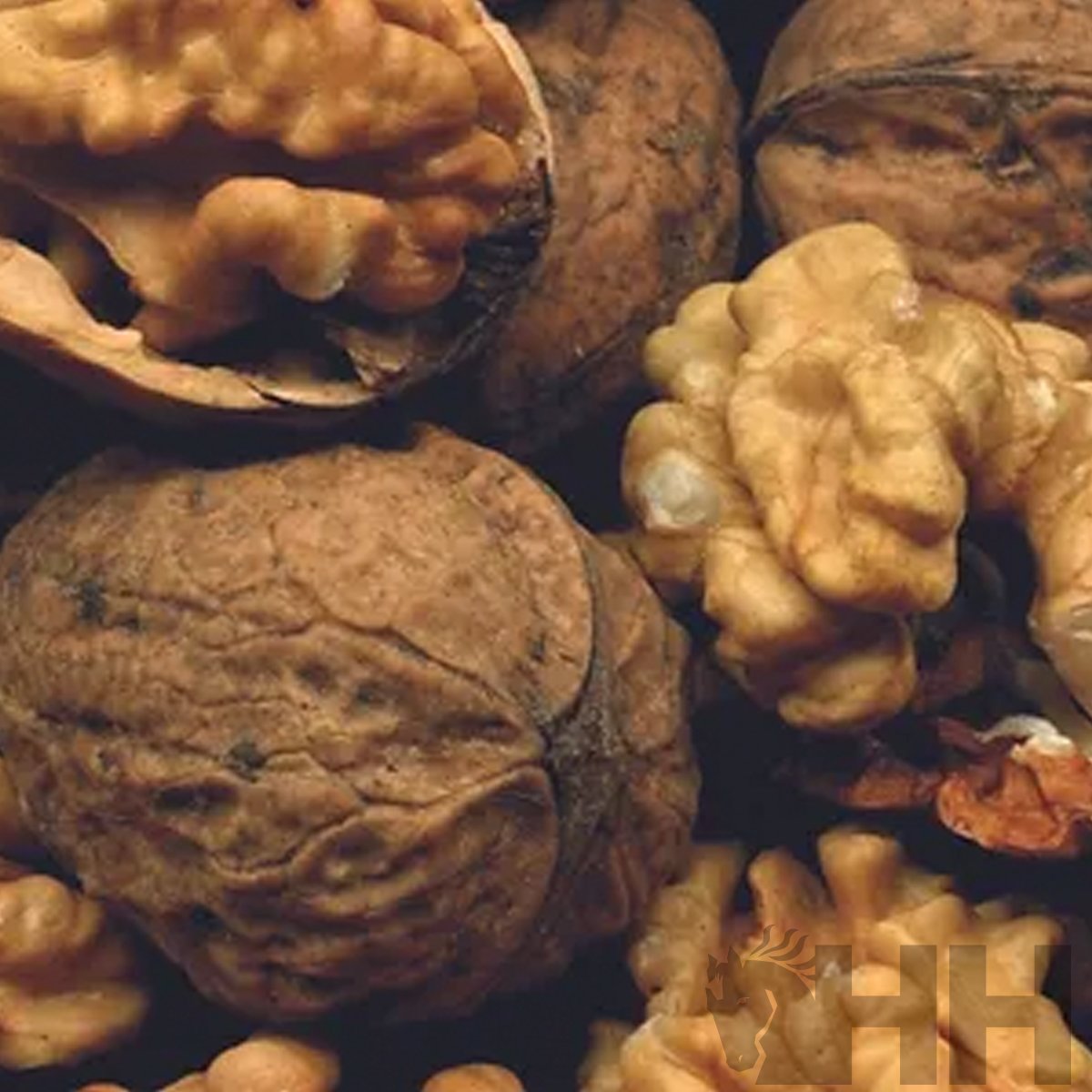 ACONDICIONADOR PELO LEOVET POWER PARA CABALLOS DE CAPA OSCURA - Imagen 2