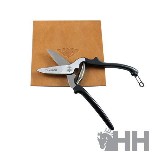 TIJERAS DIAMOND PARA CORTAR PLANTILLAS - Imagen 2