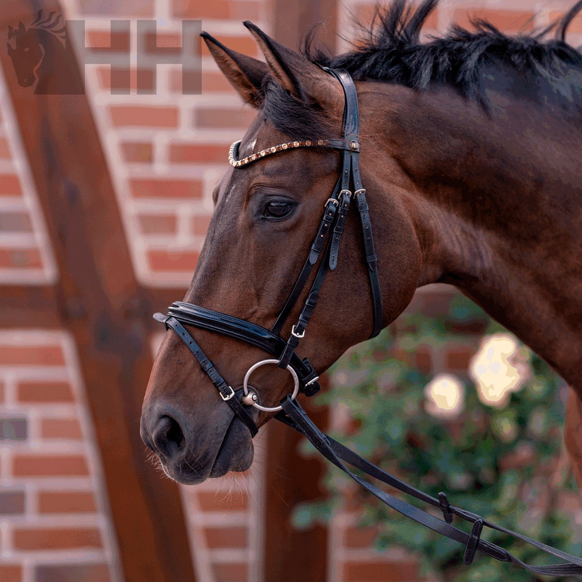 FILETE SPRENGER KK ULTRA ANILLA 70mm - Imagen 3