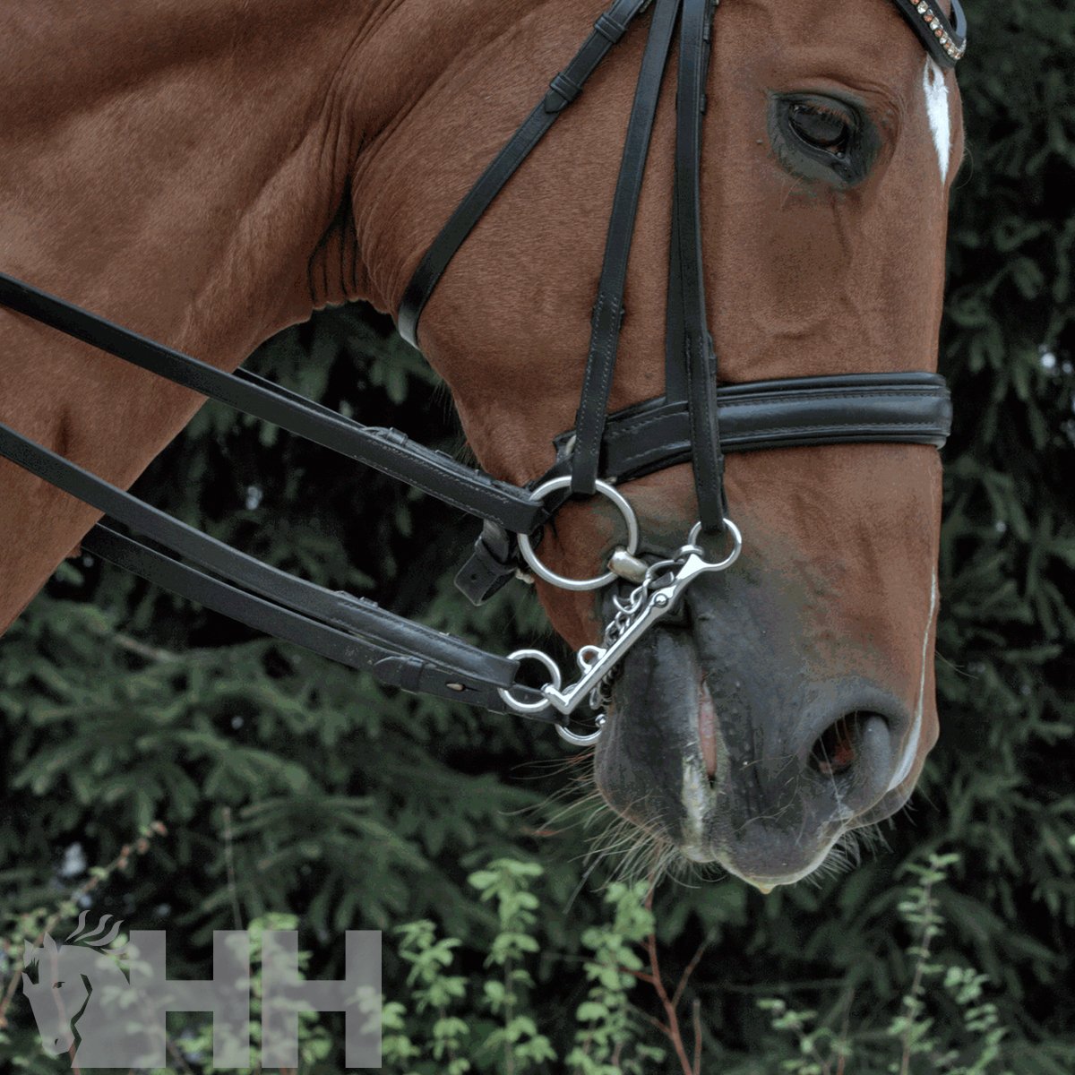 FILETE SPRENGER KK ULTRA PARA BOCADO ANILLA 55mm - Imagen 2