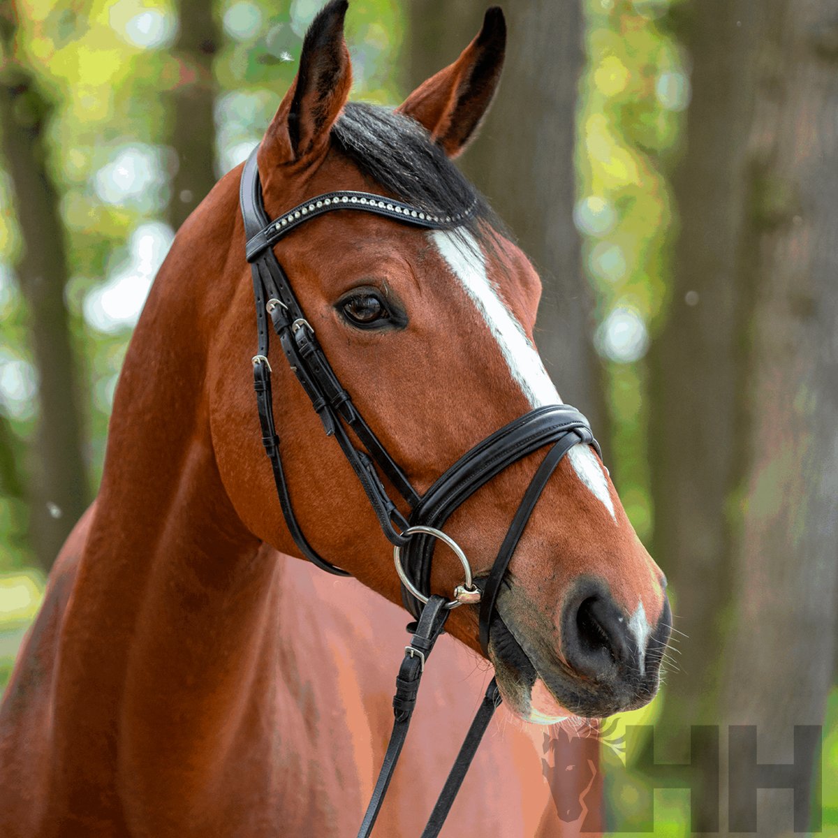 FILETE SPRENGER NOVOCONTACT ANILLA 70mm PARTIDO DOBLE - Imagen 2