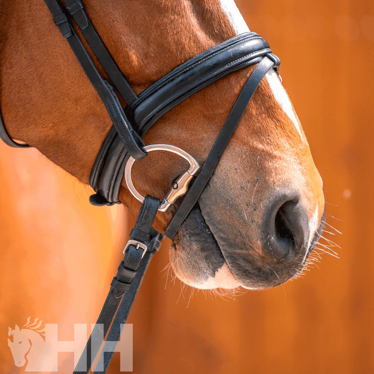 FILETE SPRENGER NOVOCONTACT OLIVA ANILLA D 65mm PARTIDO SIMPLE - Imagen 4