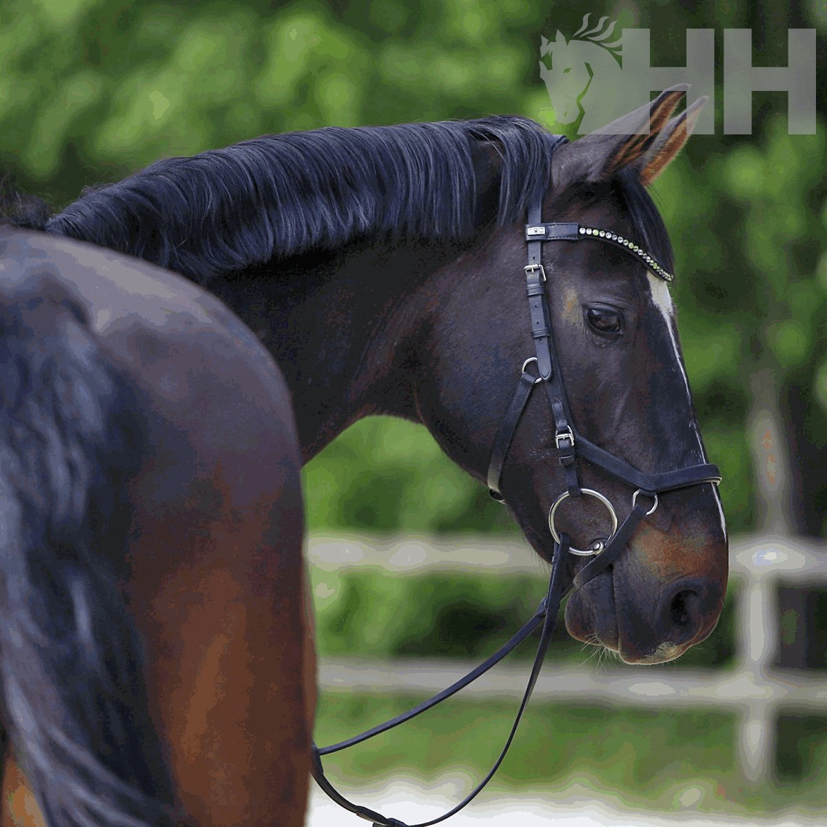 FILETE SPRENGER KK CORRECTION ANILLA 70mm - Imagen 2