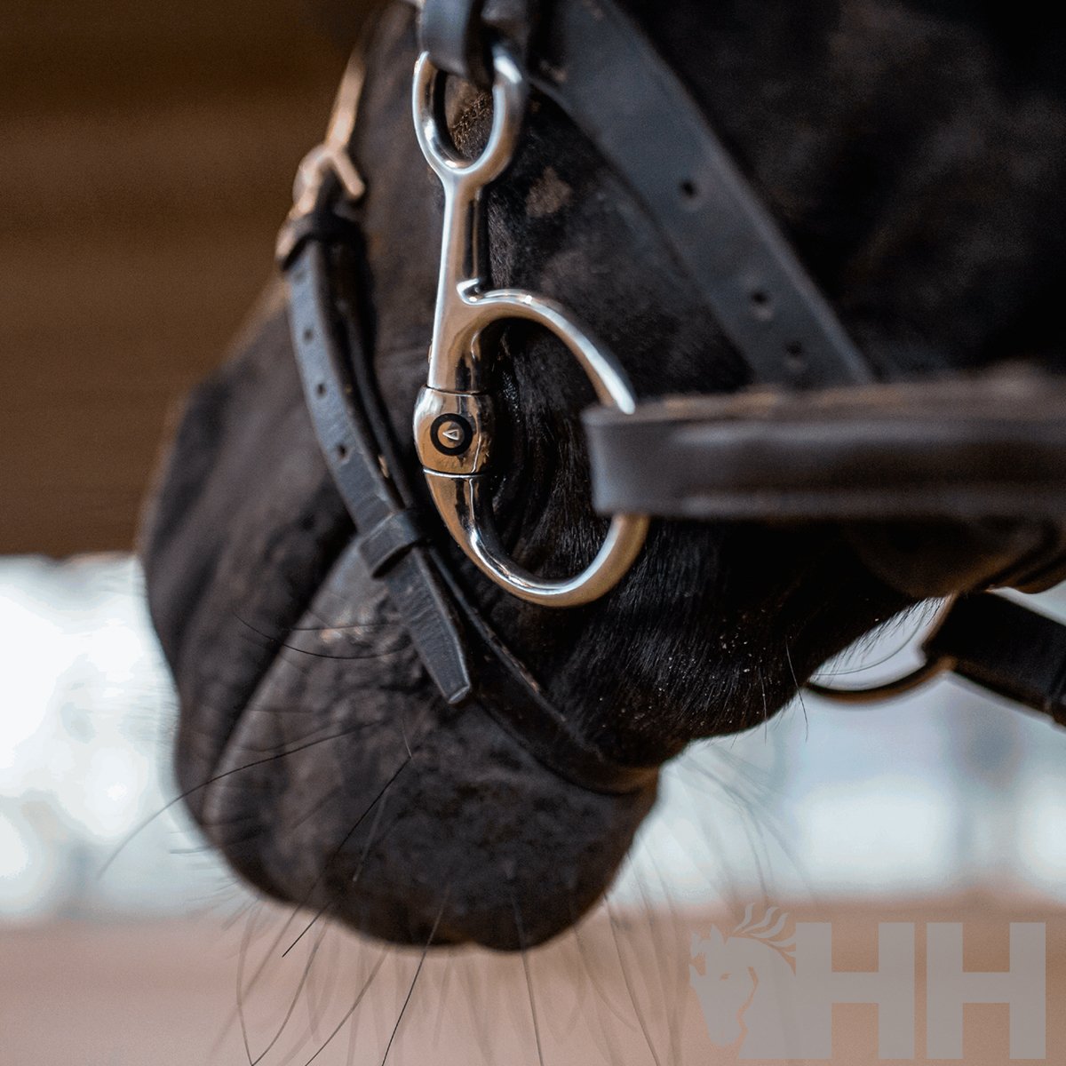 FILETE SPRENGER KK ULTRA BAUCHER ANILLA 45mm - Imagen 5