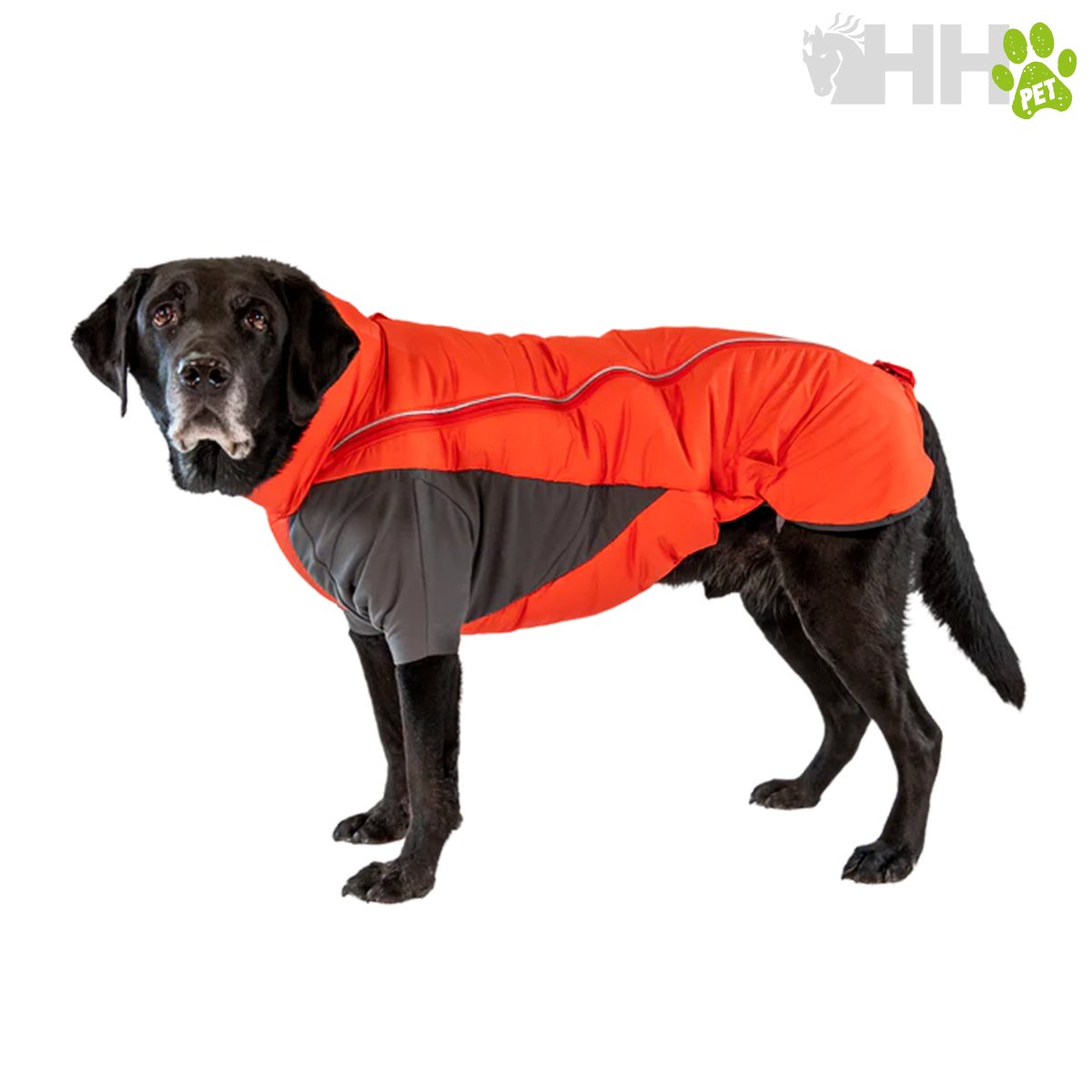CHAQUETA RUFFWEAR PARA PERROS FURNESS - Imagen 6
