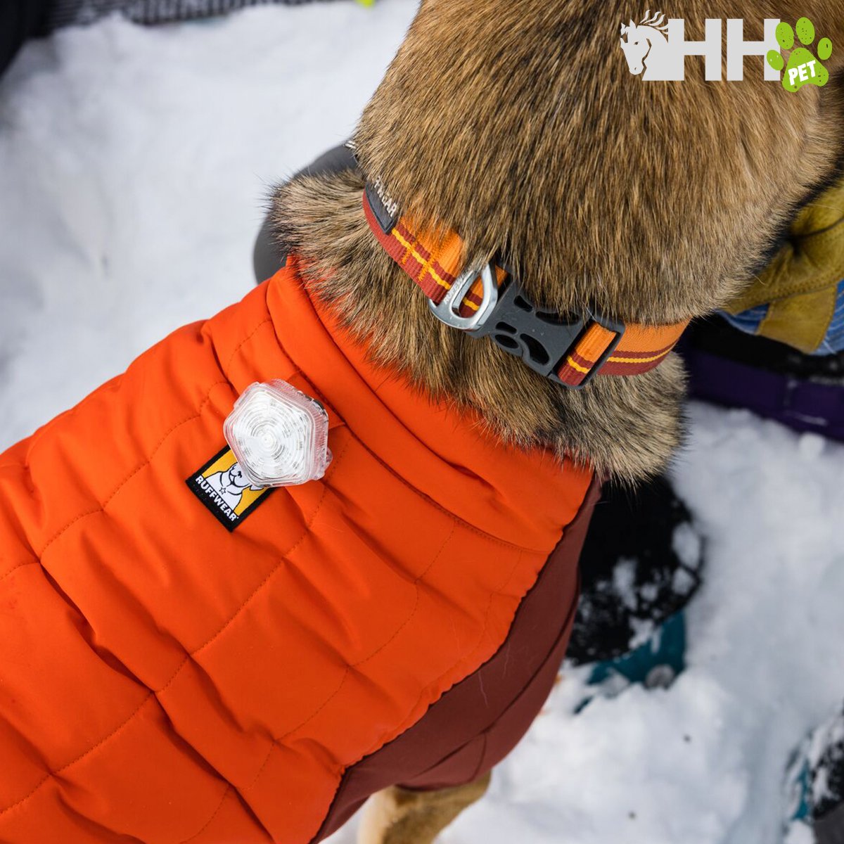 CHAQUETA RUFFWEAR PARA PERROS POWDER HOUND - Imagen 7