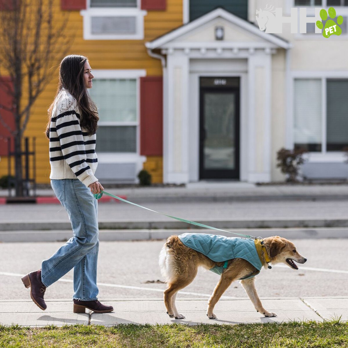 CHAQUETA RUFFWEAR PARA PERROS STUMPTOWN - Imagen 2