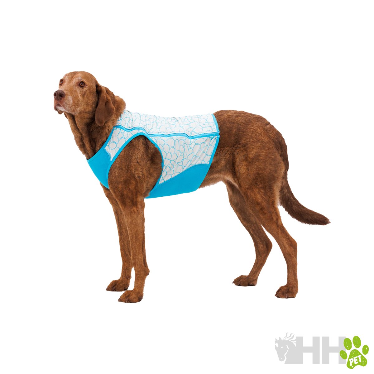 CHALECO REFRESCANTE RUFFWEAR PARA PERROS (CON CREMALLERA) SWAMP COOLER ZIP - Imagen 5