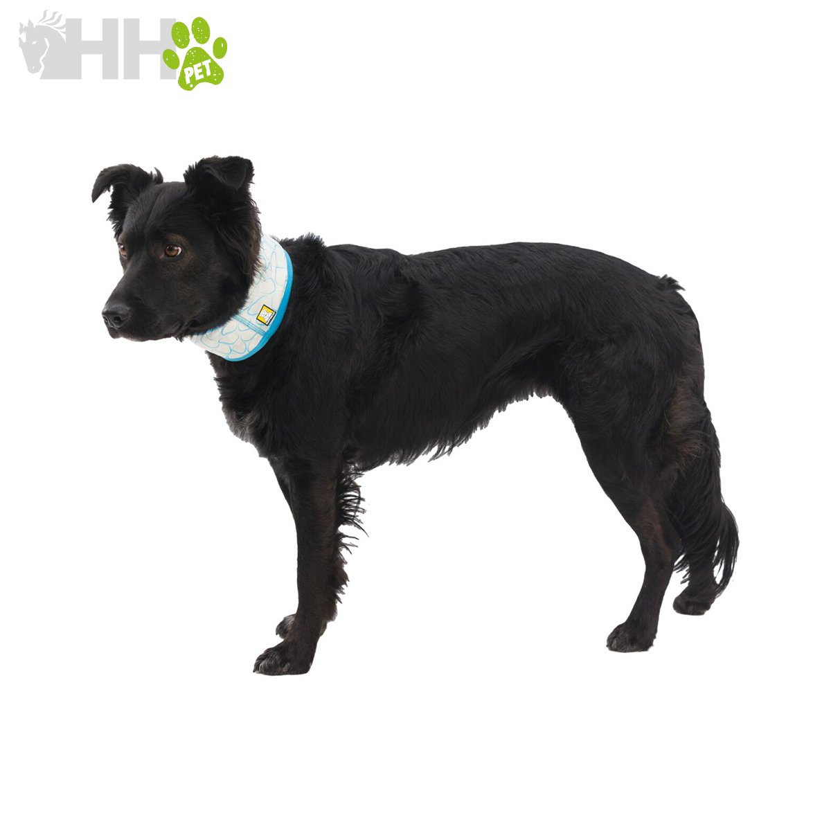 BRAGA REFRESCANTE RUFFWEAR PARA PERROS (REVERSIBLE) SWAMP COOLER NECK GAITER - Imagen 8