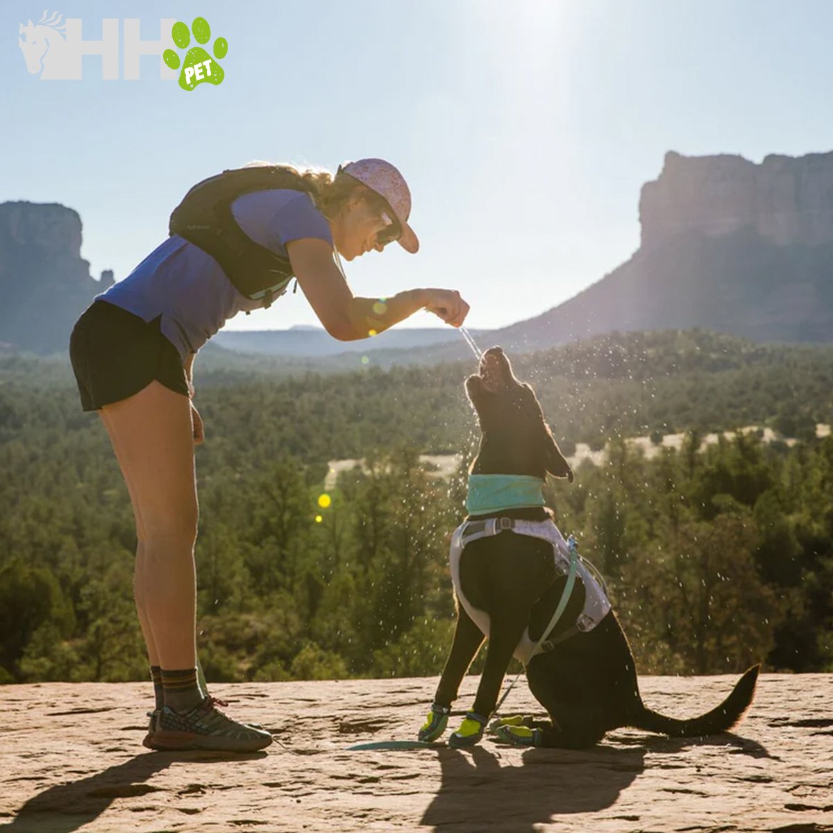 BRAGA REFRESCANTE RUFFWEAR PARA PERROS (REVERSIBLE) SWAMP COOLER NECK GAITER - Imagen 2