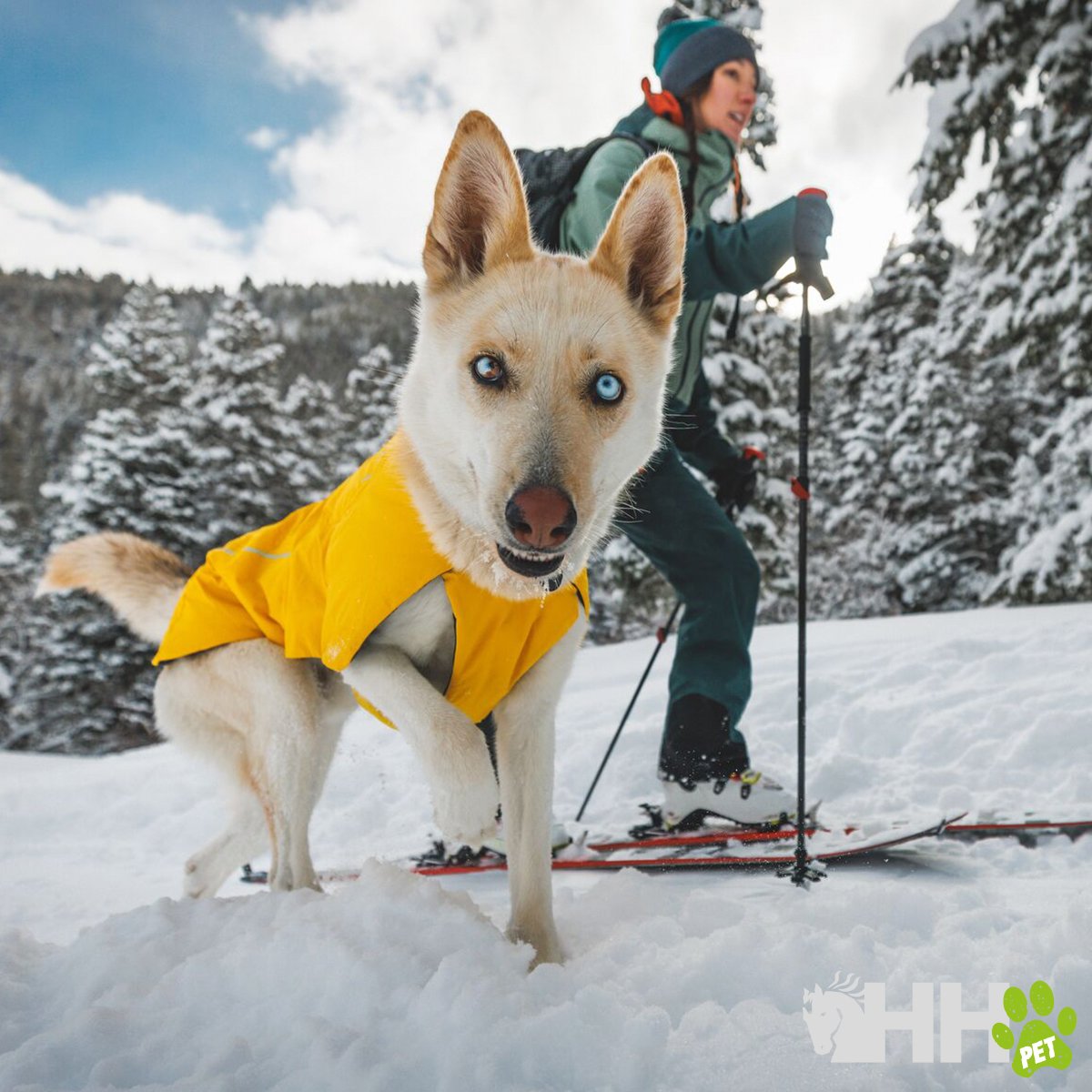 CHAQUETA RUFFWEAR PARA PERROS VERT - Imagen 7