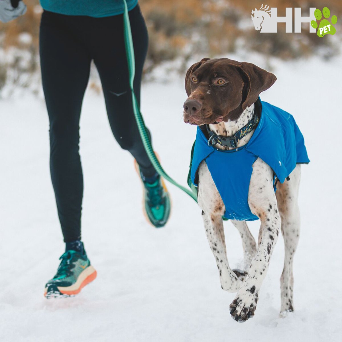 CHAQUETA RUFFWEAR PARA PERROS VERT - Imagen 3