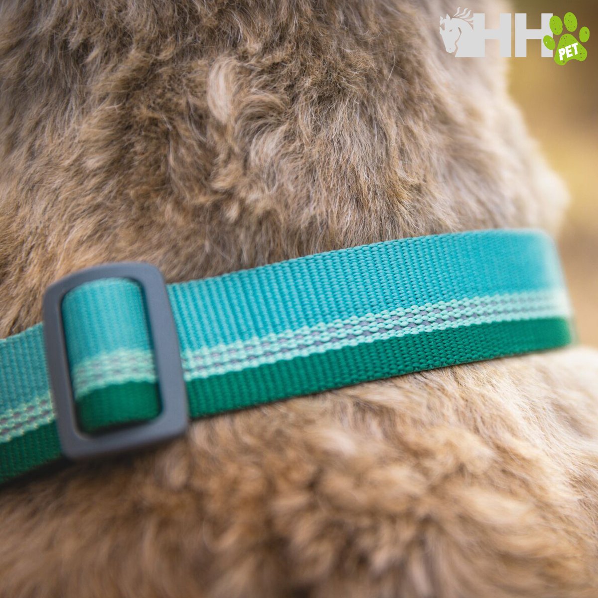 COLLAR MARTINGALA RUFFWEAR PARA PERROS CHAIN REACTION - Imagen 5