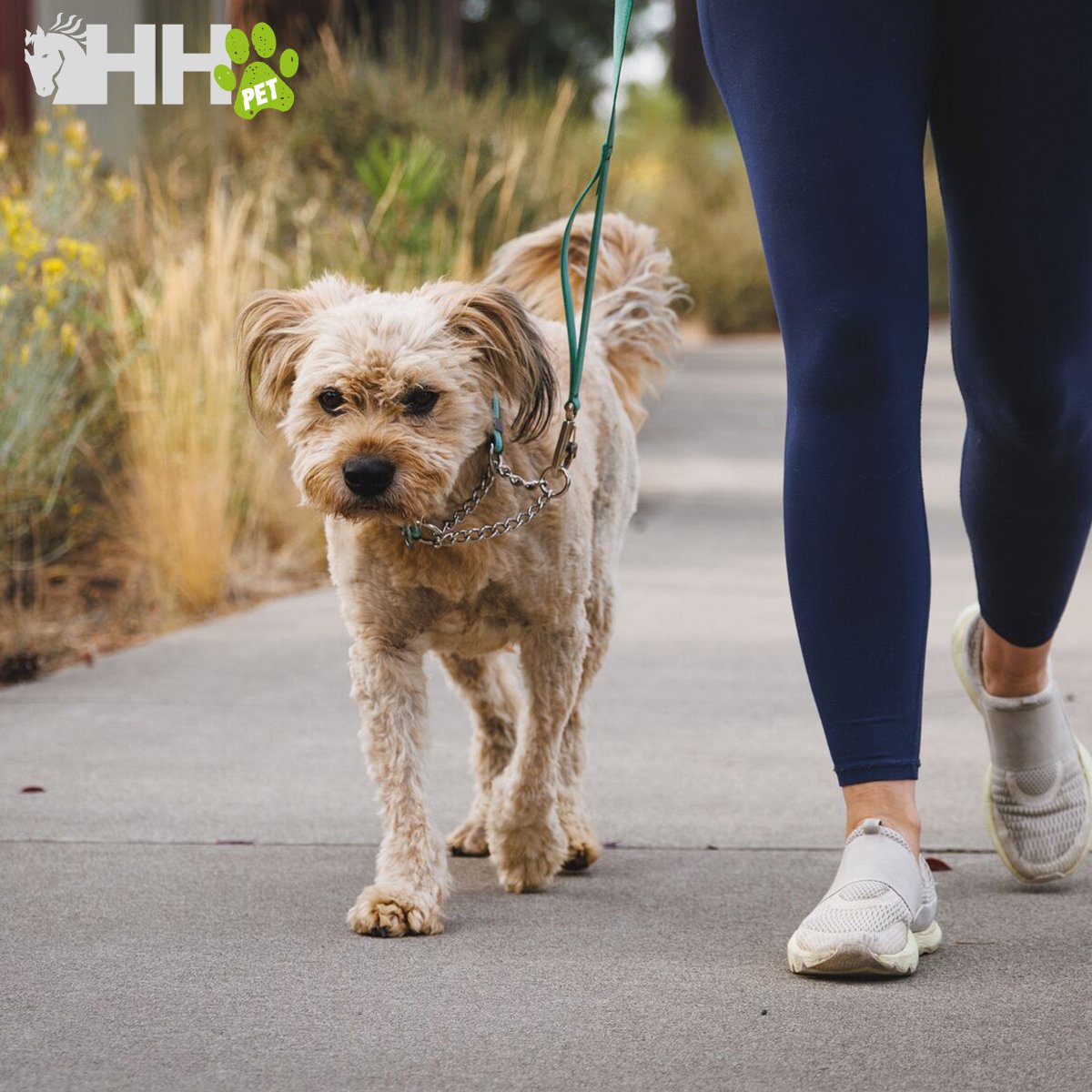 COLLAR MARTINGALA RUFFWEAR PARA PERROS CHAIN REACTION - Imagen 2