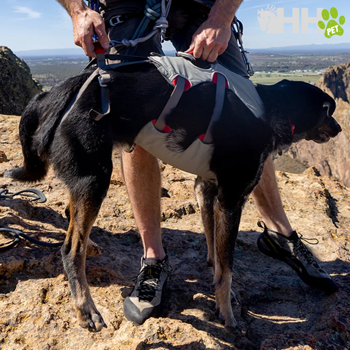 ARNES DE CUERPO ENTERO RUFFWEAR PARA PERROS DOUBLEBACK - Imagen 3