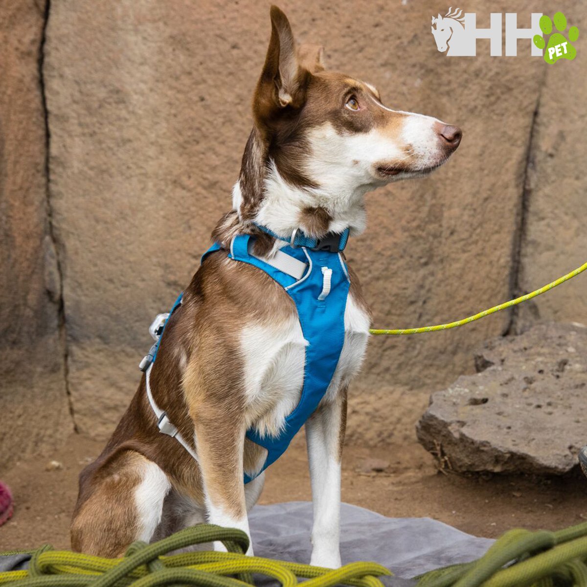 ARNES CON ASA RUFFWEAR PARA PERROS FLAGLINE - Imagen 5