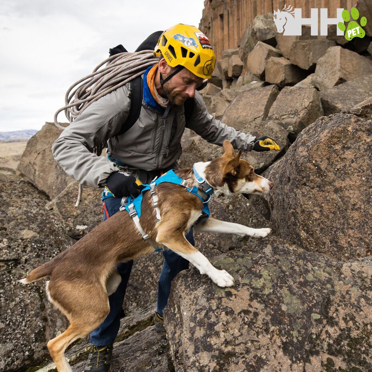 ARNES CON ASA RUFFWEAR PARA PERROS FLAGLINE - Imagen 8