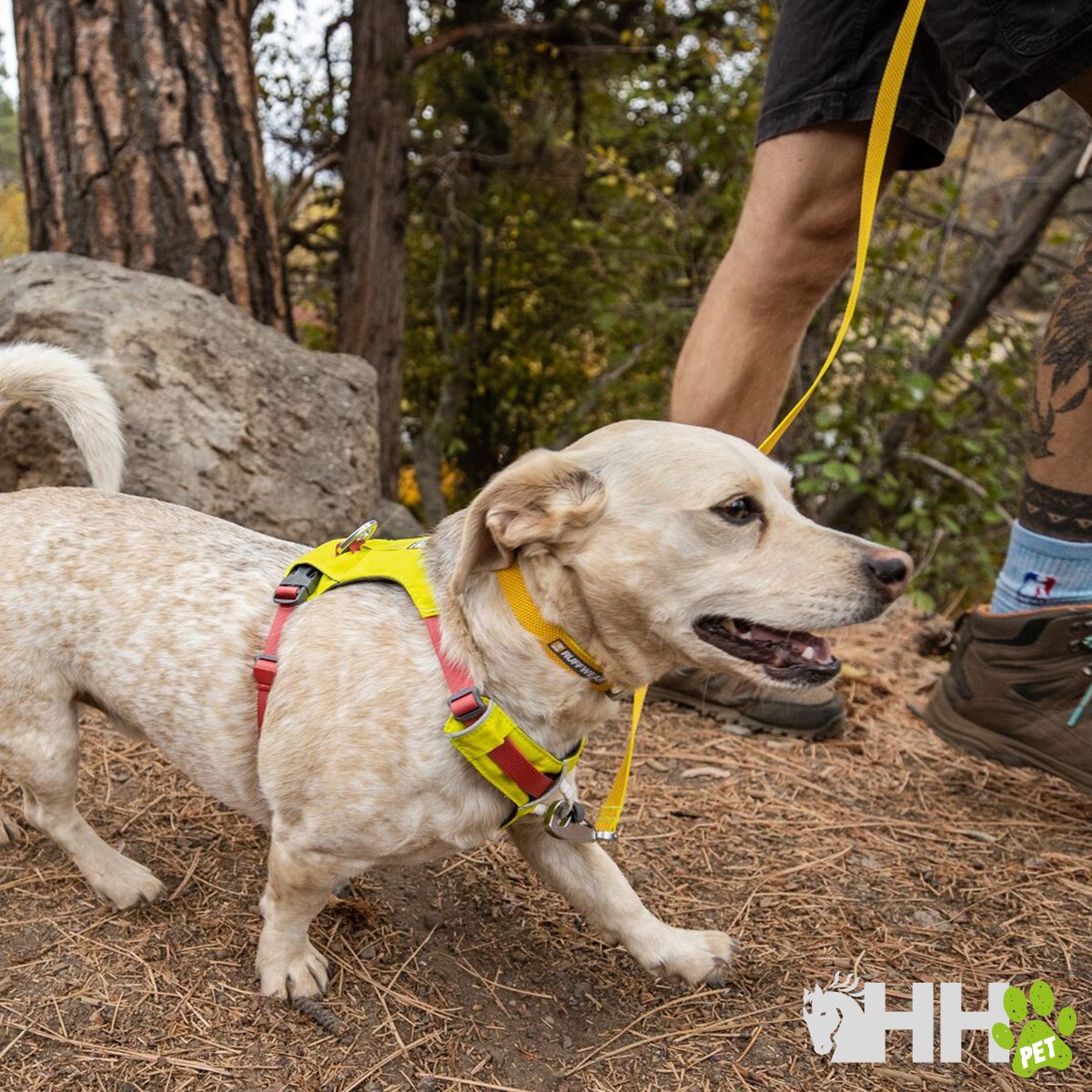 ARNES LIGERO RUFFWEAR PARA PERROS HI & LIGHT - Imagen 4