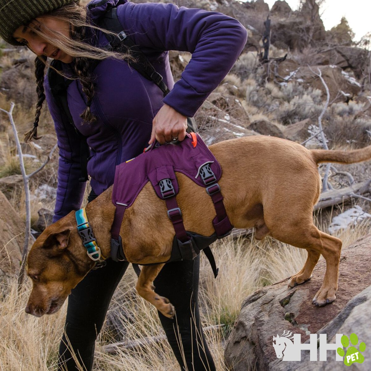 ARNES CON ASA RUFFWEAR PARA PERROS WEB MASTER - Imagen 3