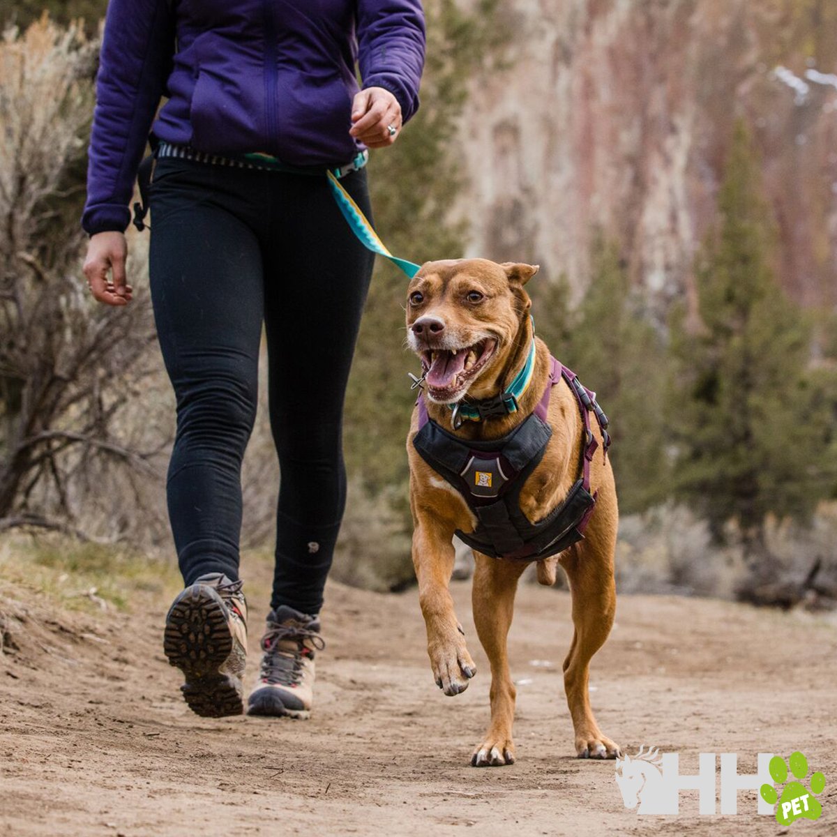 ARNES CON ASA RUFFWEAR PARA PERROS WEB MASTER - Imagen 6