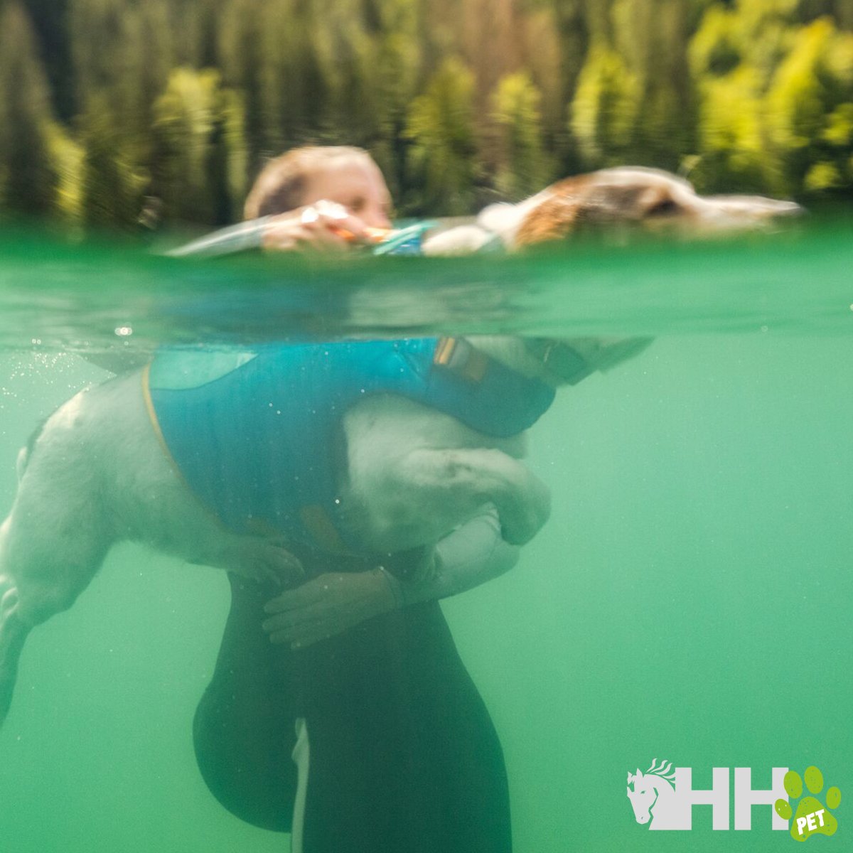 CHALECO SALVAVIDAS RUFFWEAR PARA PERROS FLOAT COAT - Imagen 3