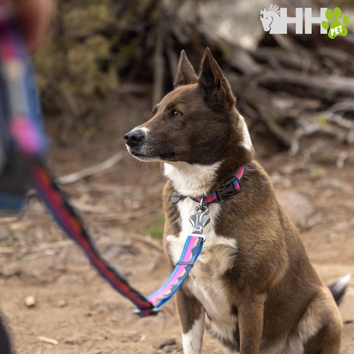 CORREA AJUSTABLE RUFFWEAR PARA PERROS CRAG EX - Imagen 10