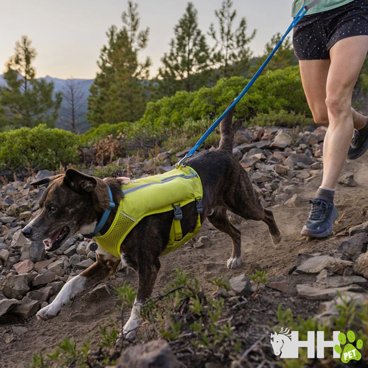CORREA RUFFWEAR PARA PERROS TRAIL RUNNER - Imagen 6