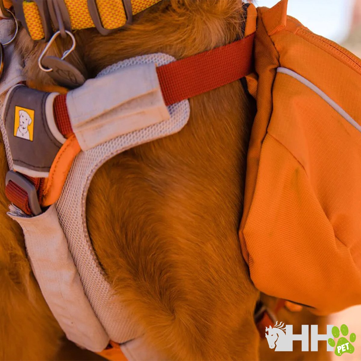 MOCHILA RUFFWEAR PARA PERROS APPROACH - Imagen 5