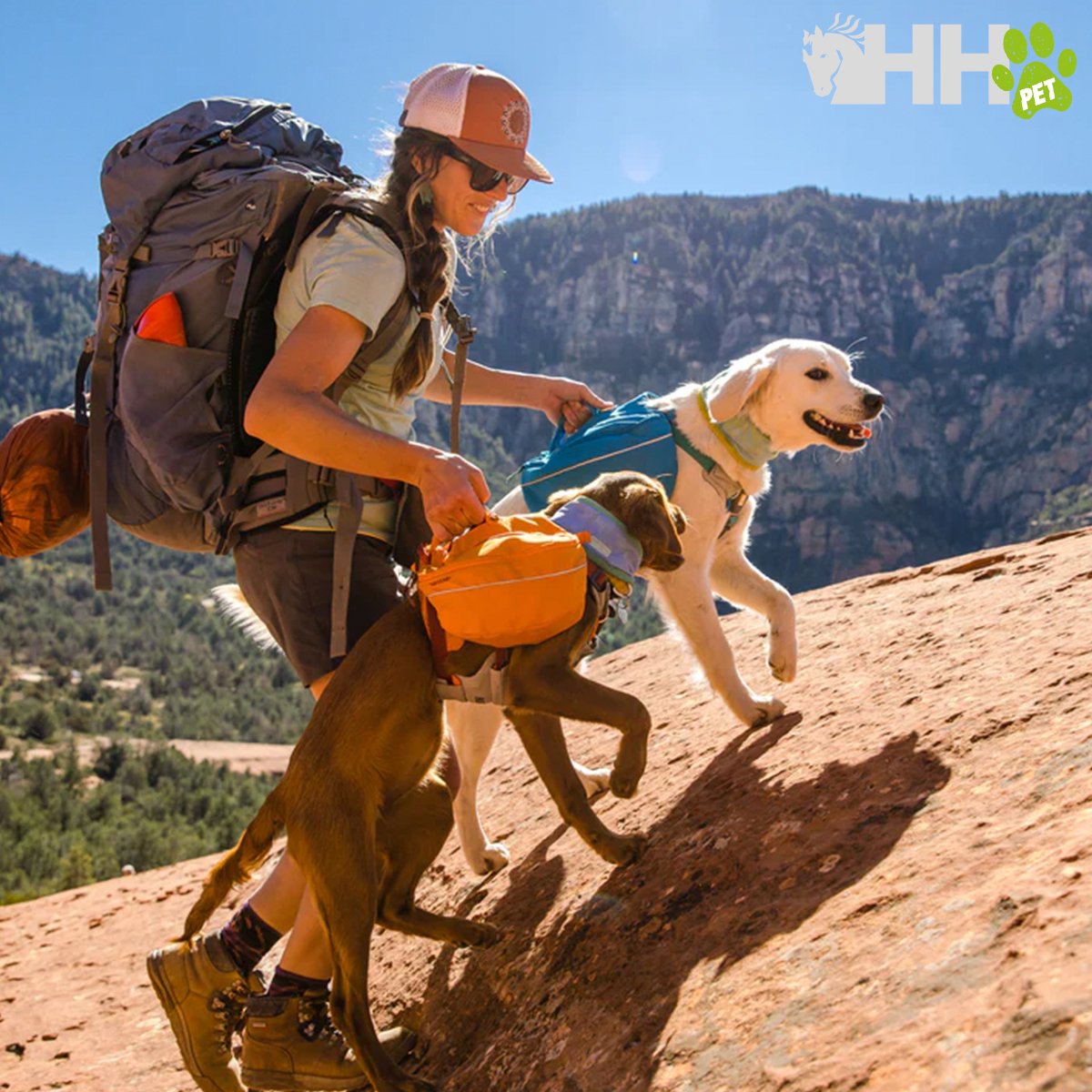 MOCHILA RUFFWEAR PARA PERROS APPROACH - Imagen 2