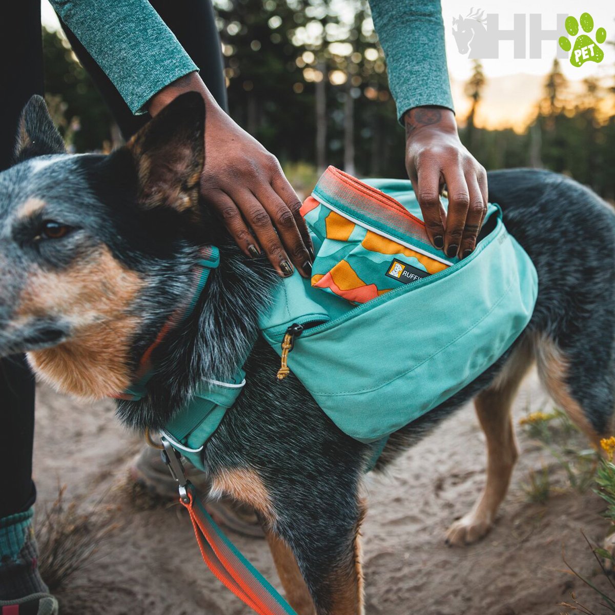 MOCHILA RUFFWEAR PARA PERROS FRONT RANGE - Imagen 4