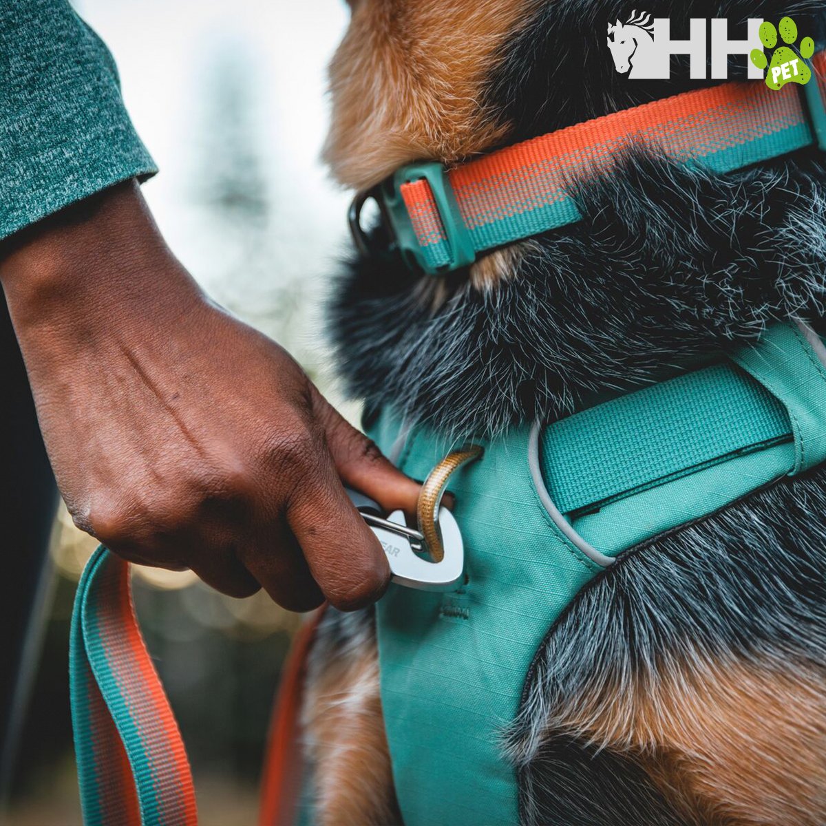 MOCHILA RUFFWEAR PARA PERROS FRONT RANGE - Imagen 2