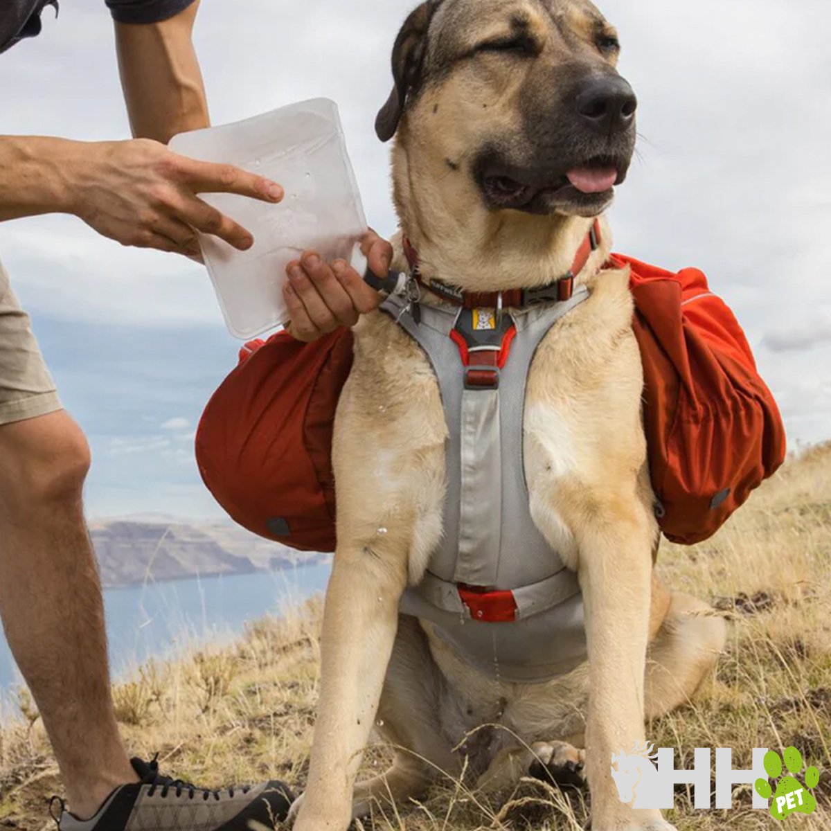 MOCHILA RUFFWEAR PARA PERROS PALISADES - Imagen 5