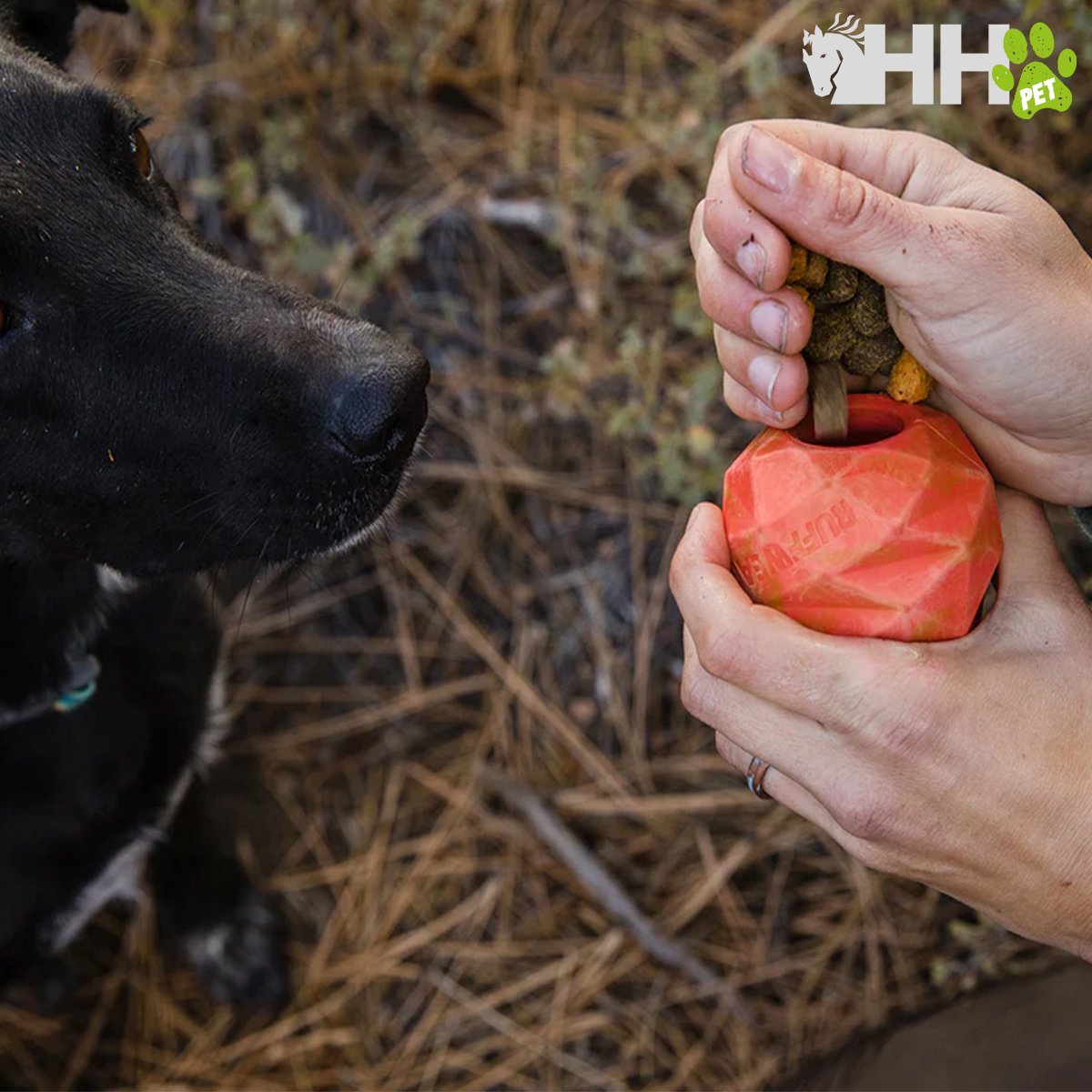 PIÃA RUFFWEAR PARA PERROS GNAWT-A-CONE - Imagen 3