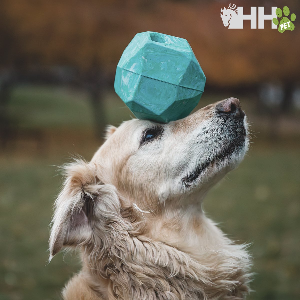 ROCA RUFFWEAR PARA PERROS GNAWT-A-ROCK - Imagen 6