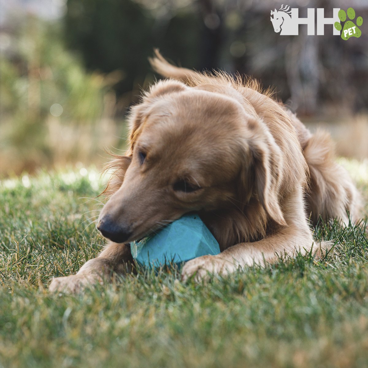 ROCA RUFFWEAR PARA PERROS GNAWT-A-ROCK - Imagen 4