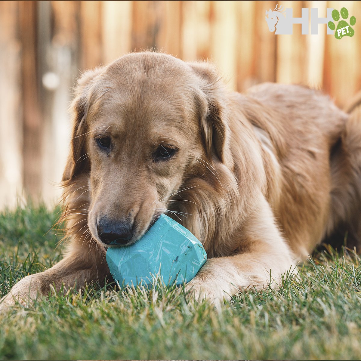 ROCA RUFFWEAR PARA PERROS GNAWT-A-ROCK - Imagen 5