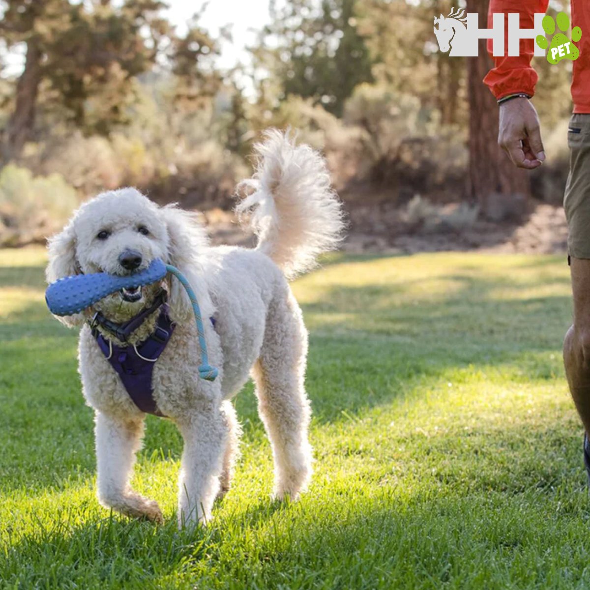 JUGUETE PARA LANZAR RUFFWEAR PARA PERROS GOURDO - Imagen 3