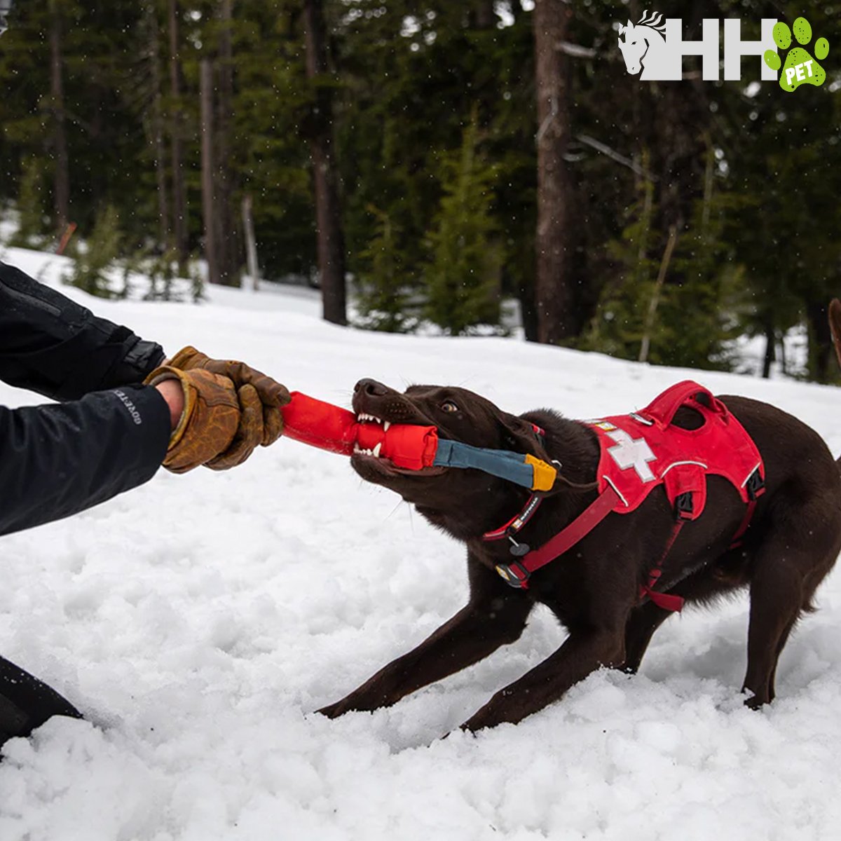 JUGUETE RUFFWEAR PARA PERROS PACIFIC LOOP - Imagen 5