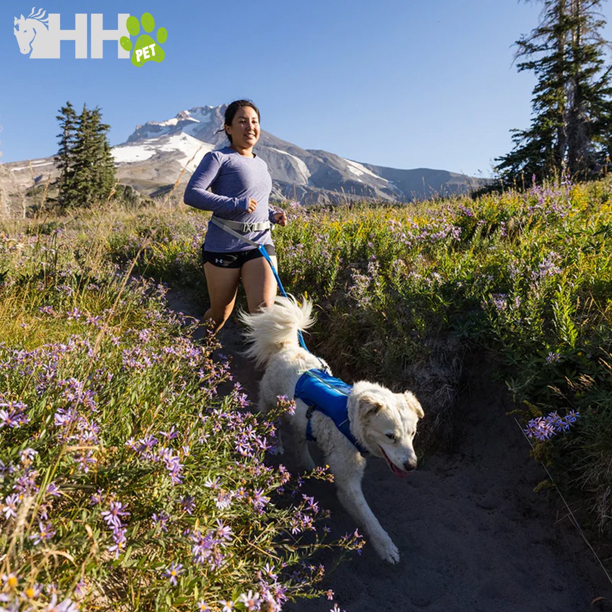 CINTURON PARA CORRER RUFFWEAR PARA PERROS TRAIL RUNNER BELT - Imagen 6