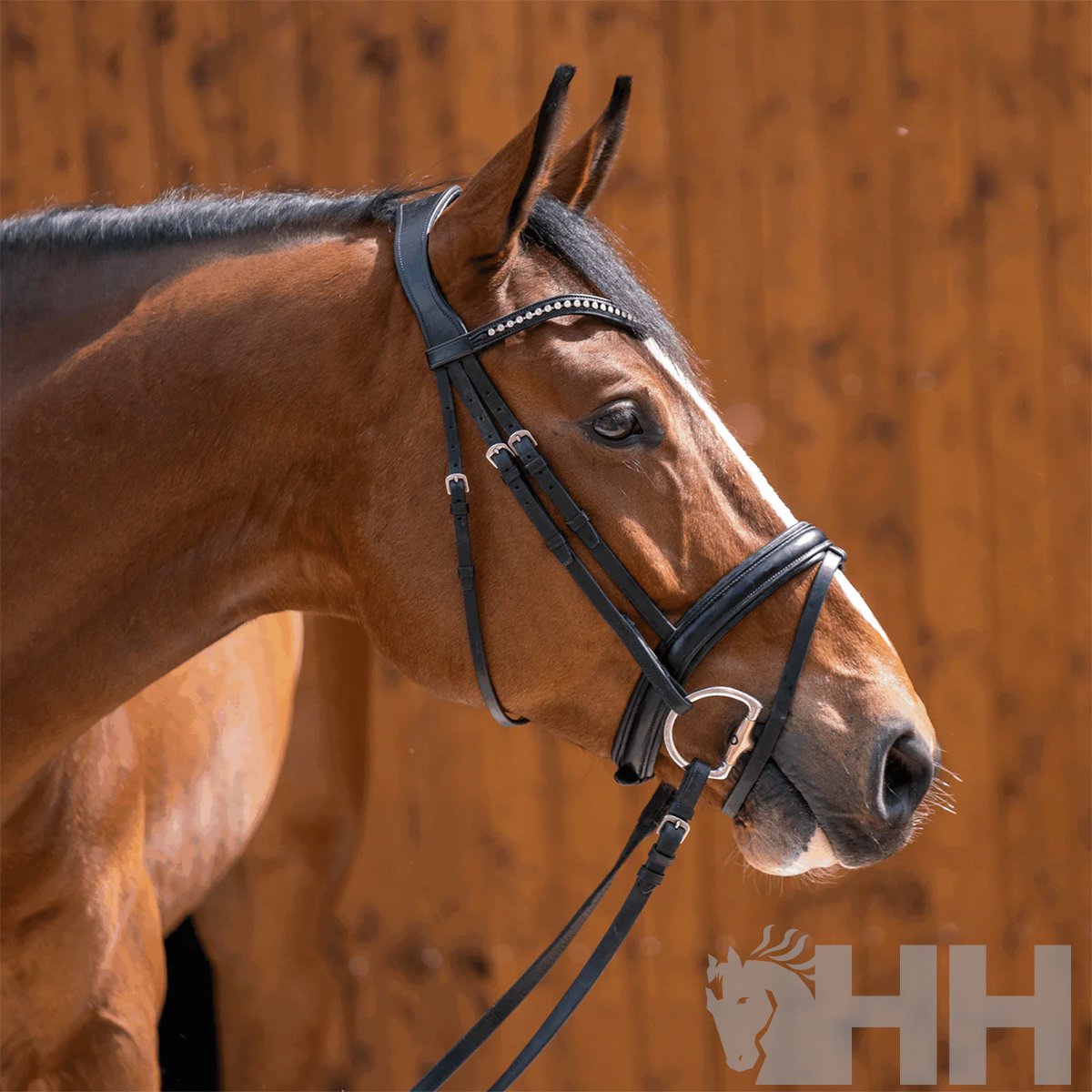 FILETE SPRENGER NOVOCONTACT OLIVA ANILLA D 65mm PARTIDO DOBLE - Imagen 5