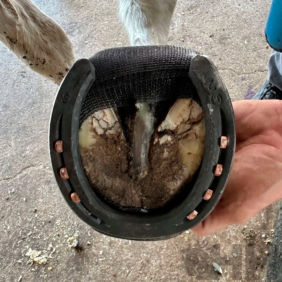 MALLA FOOTPRO FIBRA DE VIDRIO - Imagen 2