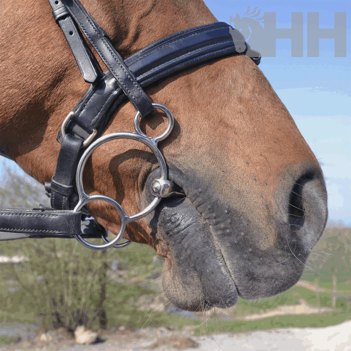 FILETE SPRENGER KK ULTRA UNIVERSAL ANILLAS 70mm - Imagen 7