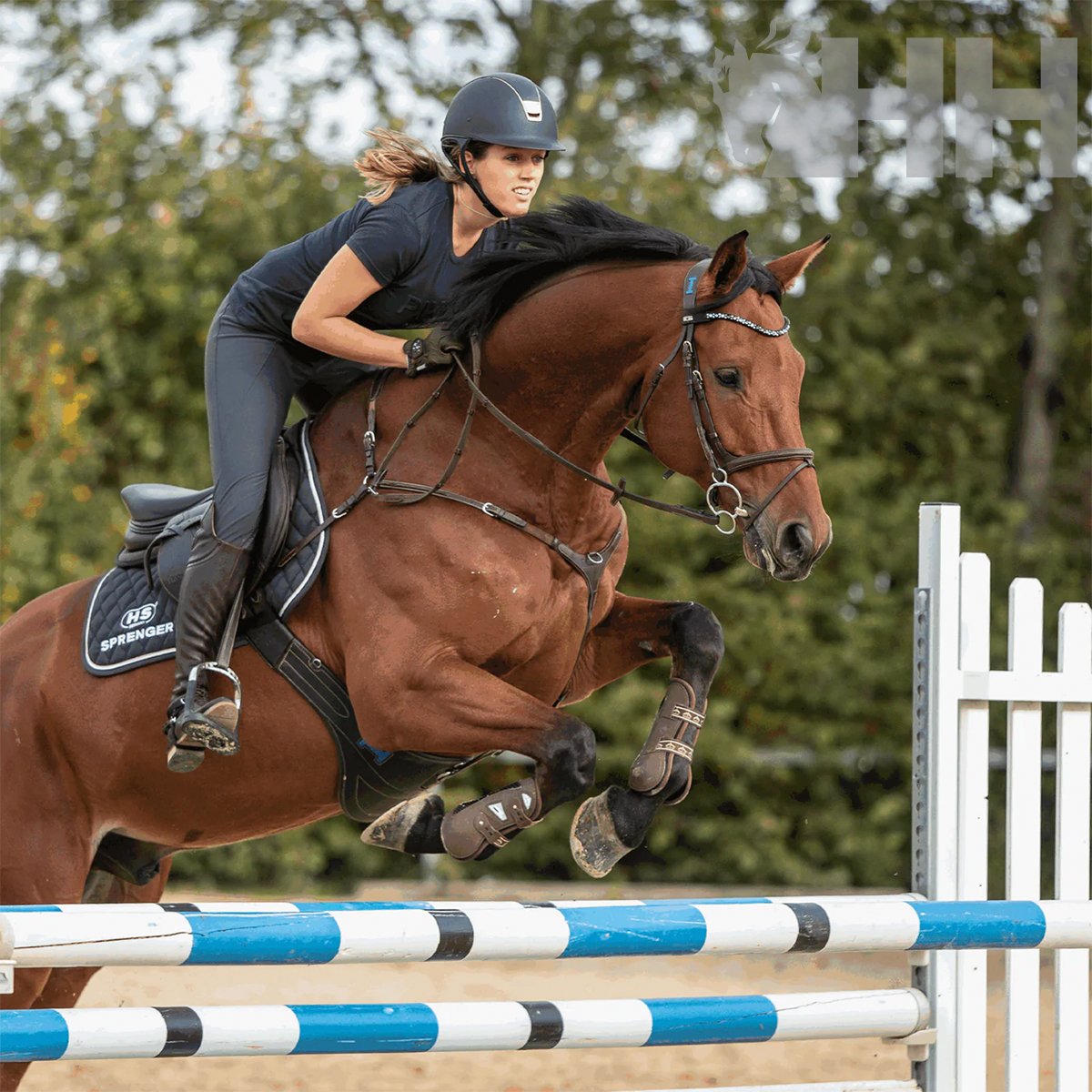 FILETE SPRENGER KK ULTRA UNIVERSAL ANILLAS 70mm - Imagen 6