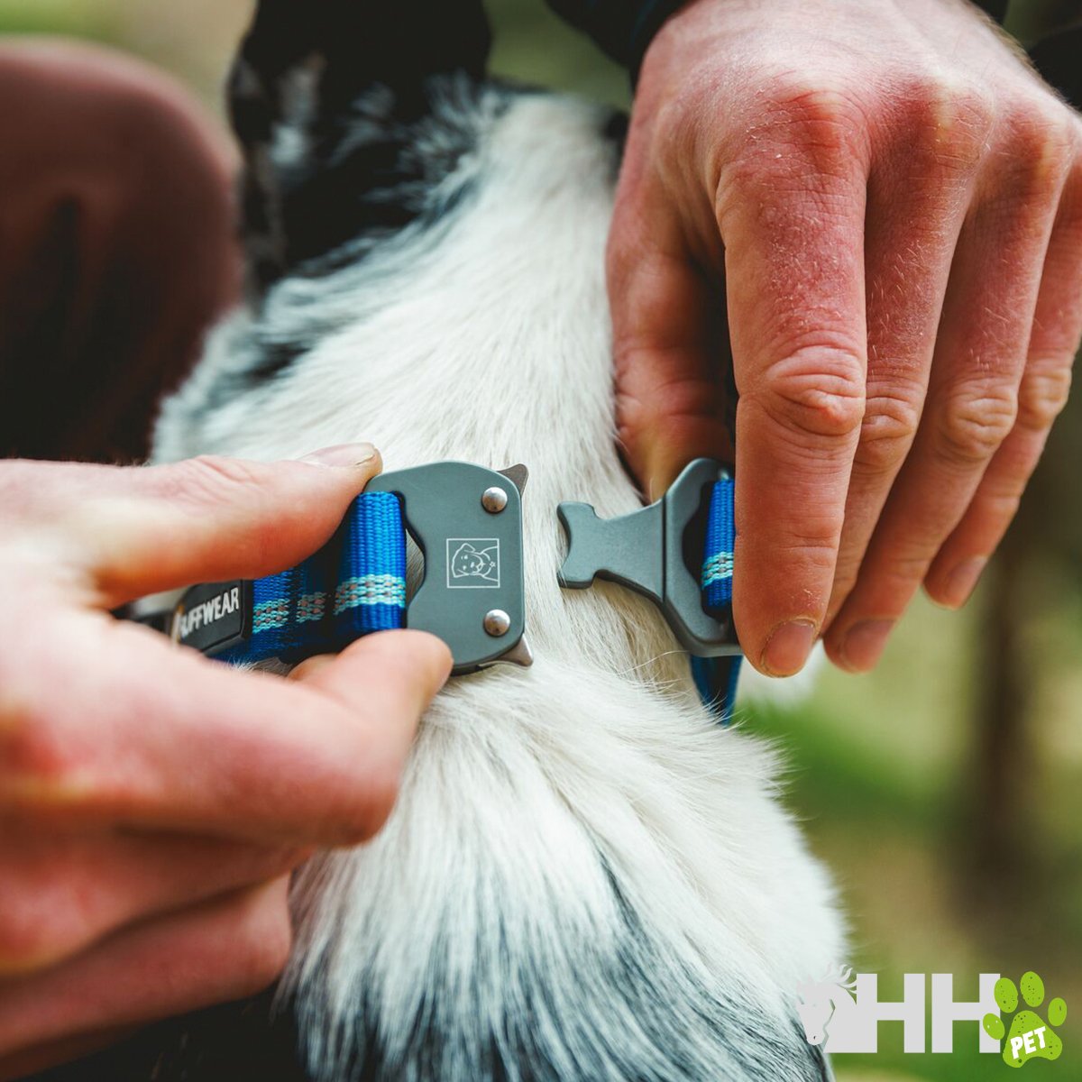 COLLAR RUFFWEAR PARA PERROS TOP ROPE (NEW) - Imagen 3