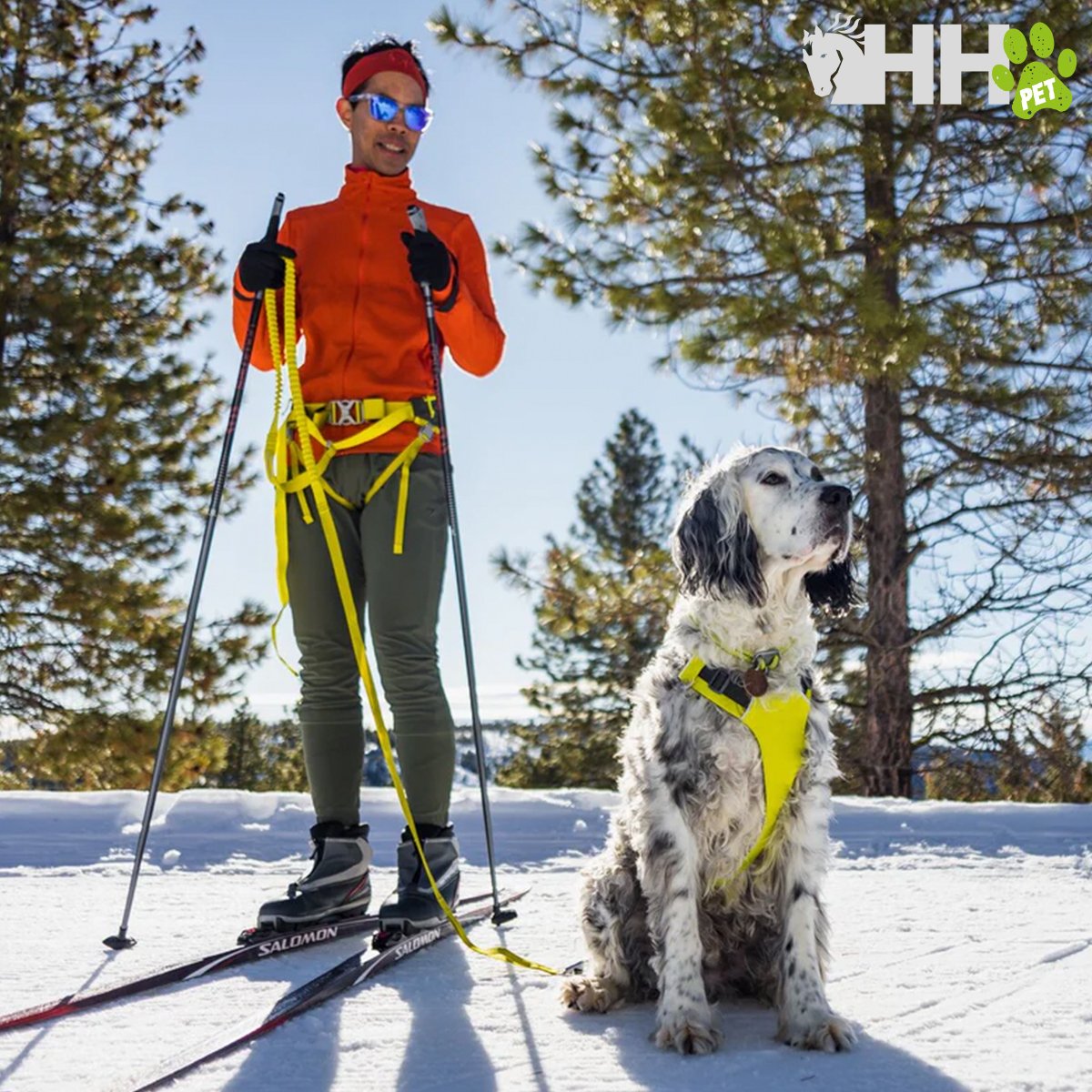 SISTEMA DE ENTRENAMIENTO RUFFWEAR PARA PERROS OMNIJORE - Imagen 3