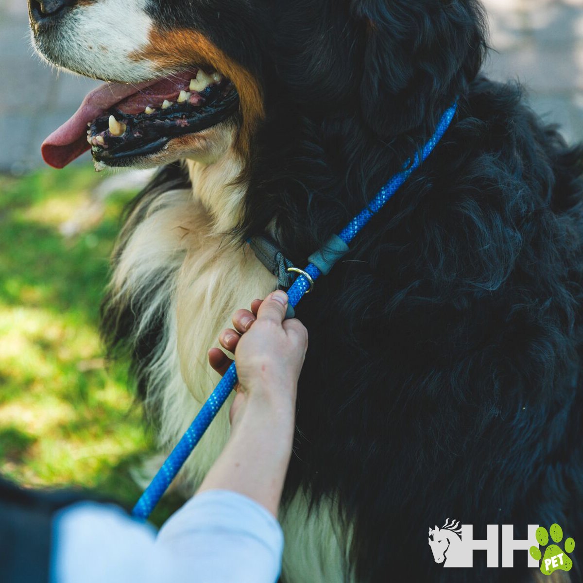 CORREA RUFFWEAR PARA PERROS JUST-A-CINCH (NEW) - Imagen 8