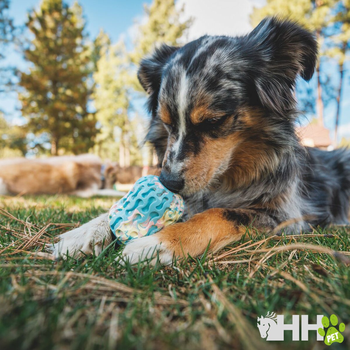 JUGUETE PARA LANZAR RUFFWEAR PARA PERROS MOREL - Imagen 7