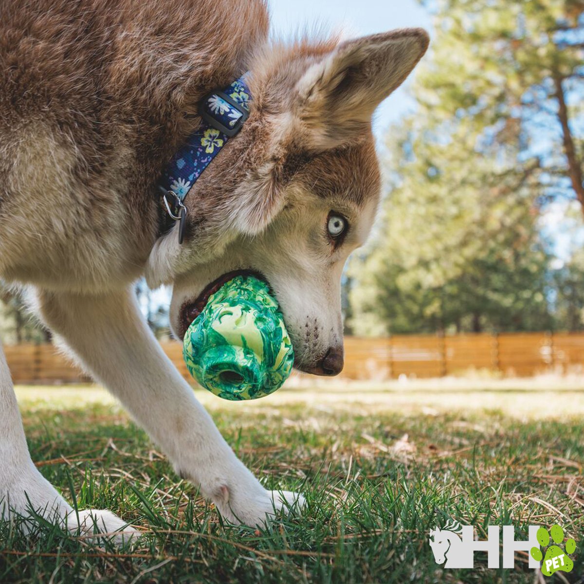 JUGUETE PARA LANZAR RUFFWEAR PARA PERROS MOREL - Imagen 4