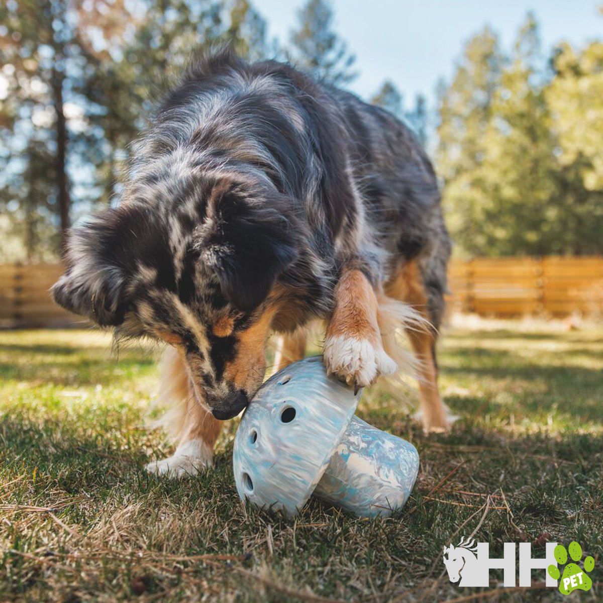 JUGUETE RUFFWEAR PARA PERROS PORCINI - Imagen 5